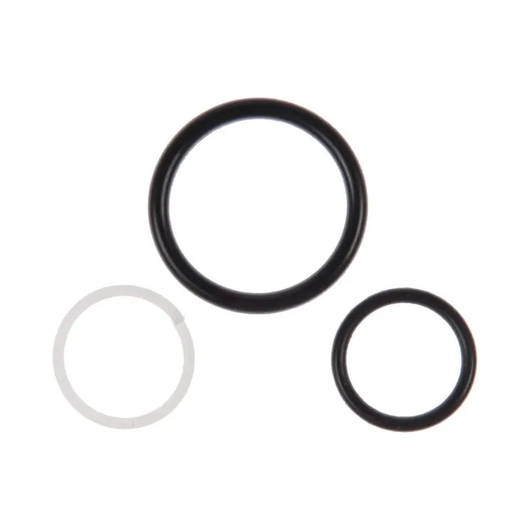 Valve Gasket set for 1317-1024  8113179704 Kongskilde
