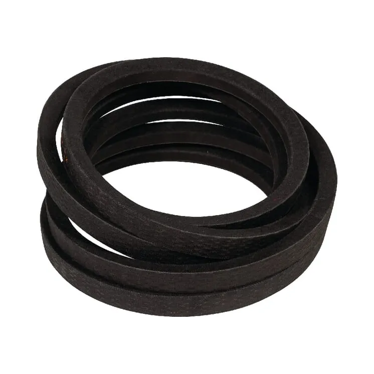V-Belt Set (2 Pcs)  8113621209 JF 13621209