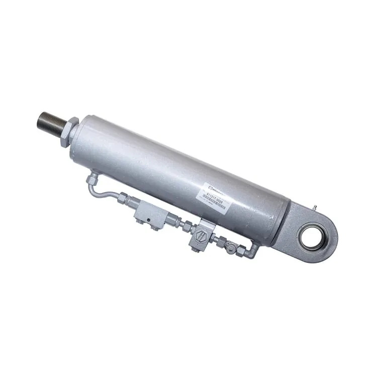 Cylinder  8113173025 JF