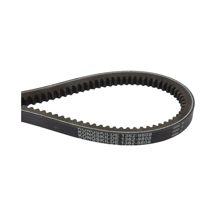 V-belt set (4 pieces)  8113629808 JF 13629808