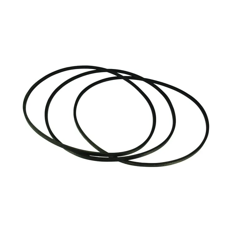 Ķīļsiksnas komplekts (3) 8113629804 JF 1126000 13629804