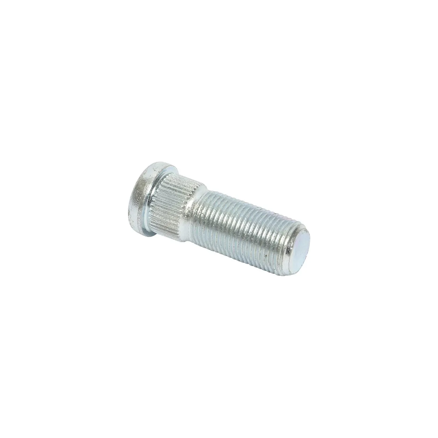 Bolt  8113239641 JF