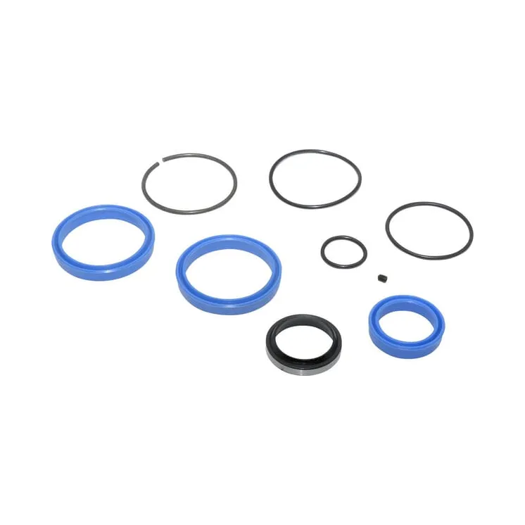 Seal kit   8113179294 JF 13179294