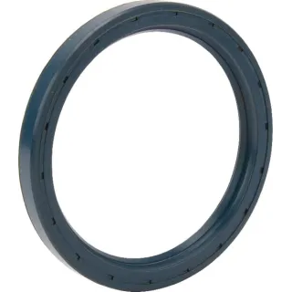 Radial Seal  8113159858 JF
