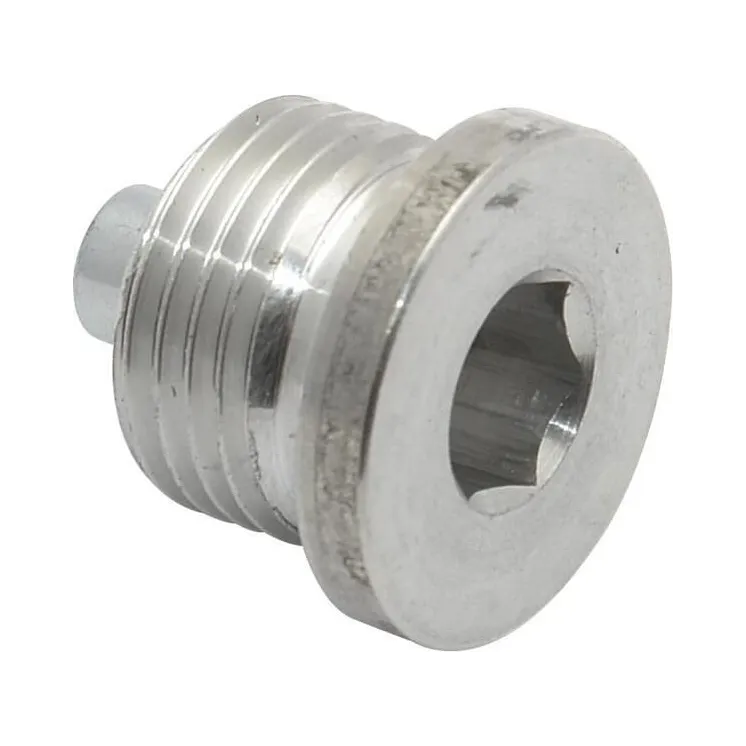 Drain Plug With Copper Washer  8113159704 JF