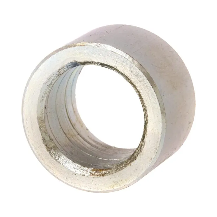 Krūms 812080469X JF