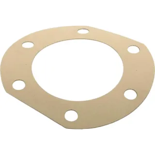 Gasket 1 mm  812224047X JF 1114290