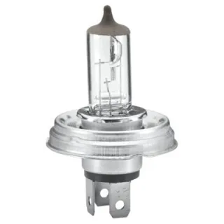 Light bulb Halogen R2 12V 60W P45t-41   8GJ004173121 Hella
