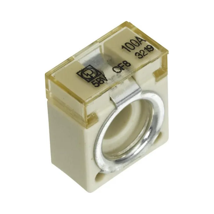 Fuse 58V 100A Pack 1x   8JS747876021 Hella