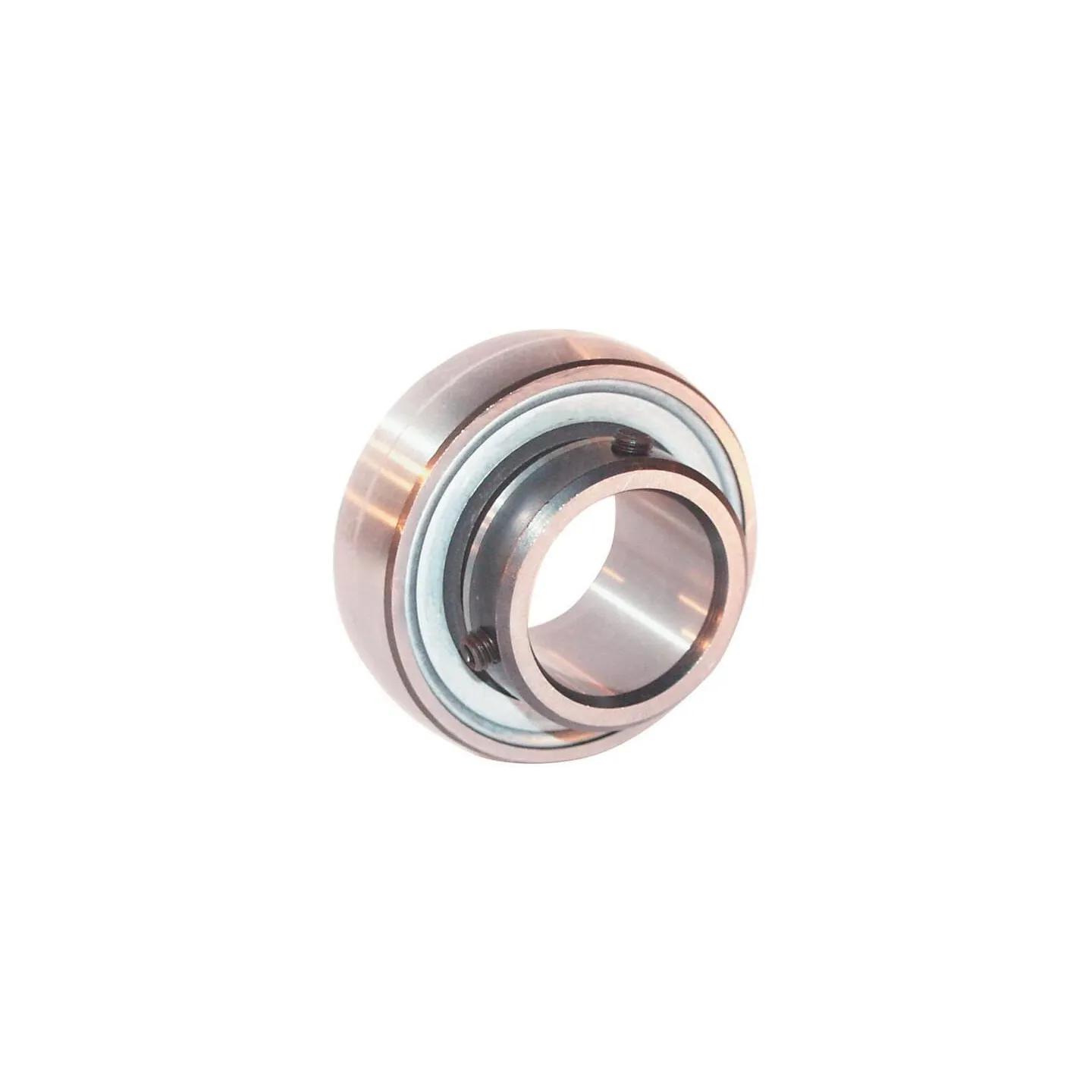Gultņa ieliktnis 17x40x12mm AY17NPPB INA/FAG SB203