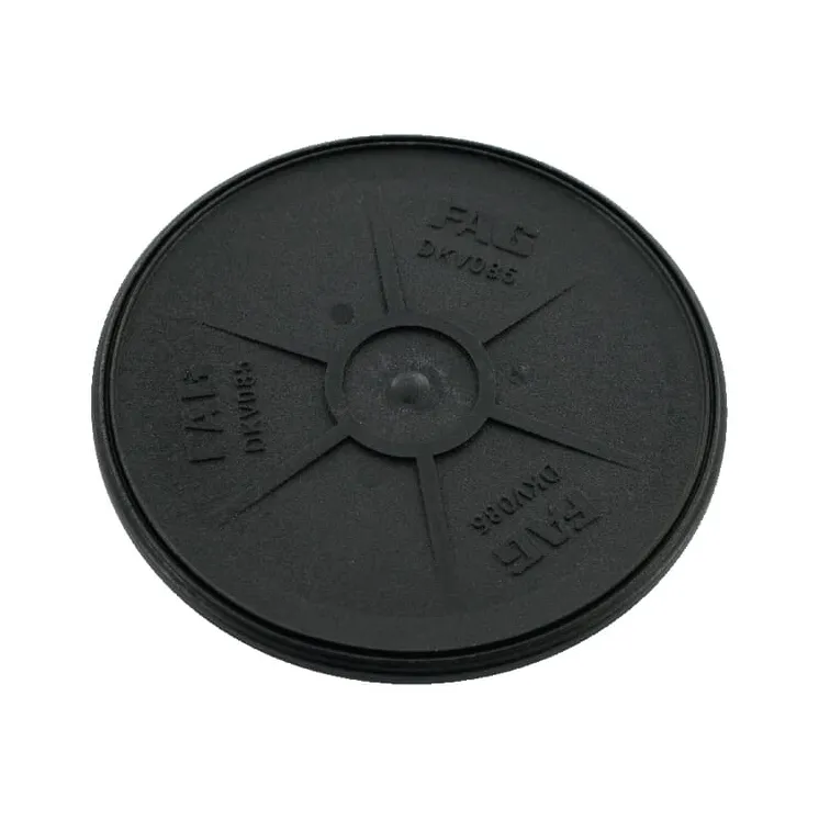 Cover for SES housing  EDK519616 INA/FAG DKV170