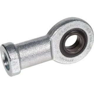 Rod head  GIR25DO2RSINA INA/FAG