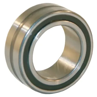 Needle roller bearing  NA49062RSRXL INA/FAG