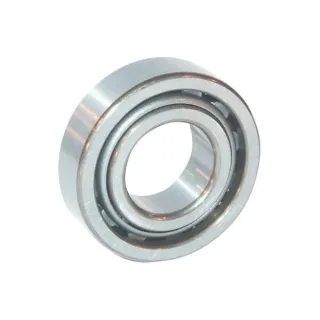 Cylindrical roller bearing 50x80x16mm   NU1010M1 INA/FAG