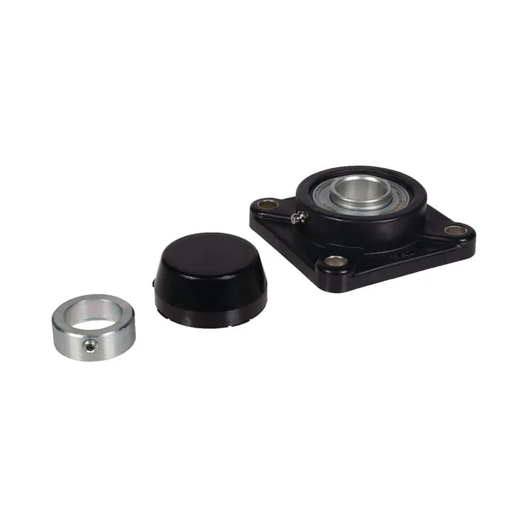 Pareizs/plastmasas gultnis blck PCJ25TVFA1255 INA/FAG