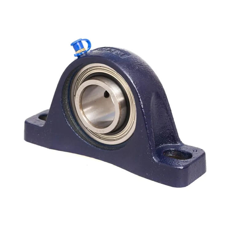 Korpuss RASEY RASEY60N INA/FAG