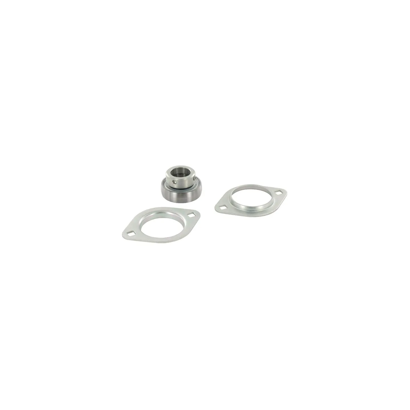 Corrotect bearing housing  RALT20FA1258 INA/FAG