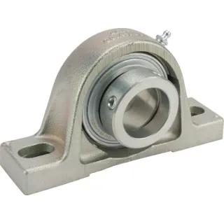 Corrotect bearing block  RASE40NFA125 INA/FAG