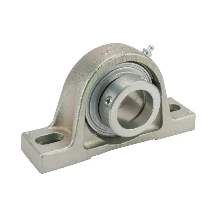 Corrotect bearing block  RASE40NFA125 INA/FAG