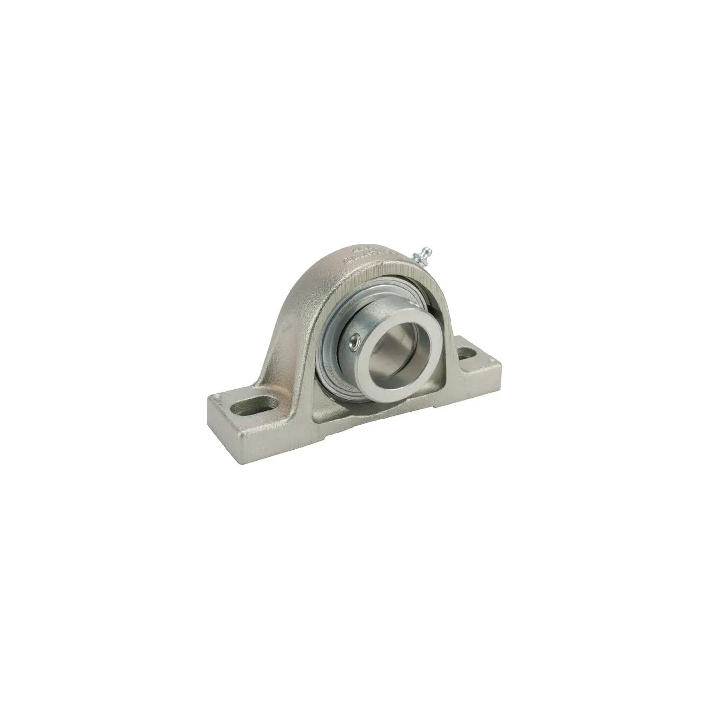 Corrotect bearing block  RASE40NFA125 INA/FAG