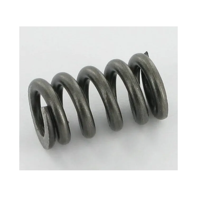 Outer spring  660104 Walterscheid