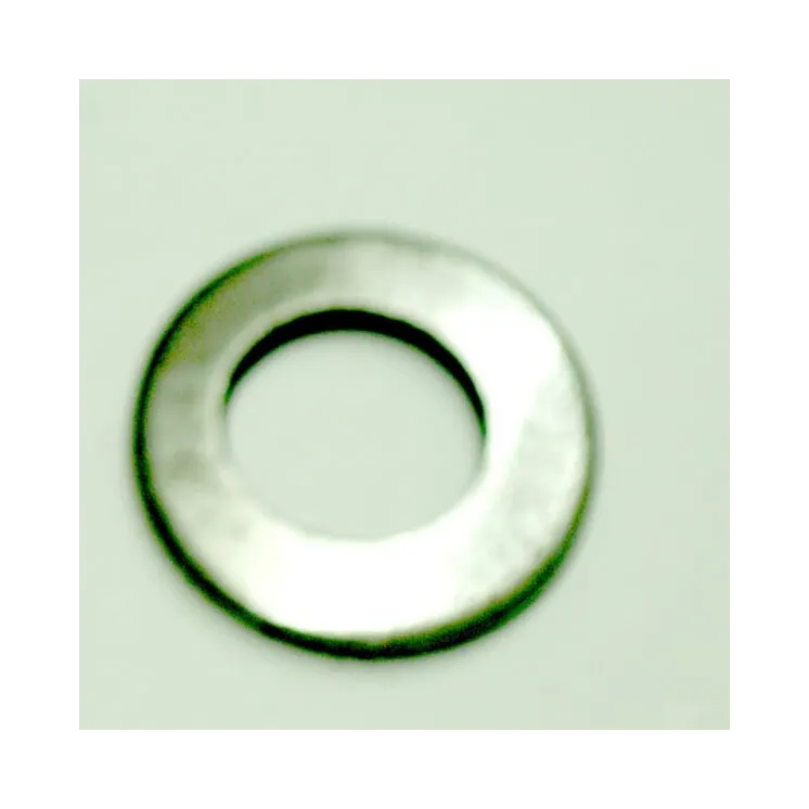 Washer  607501 Walterscheid