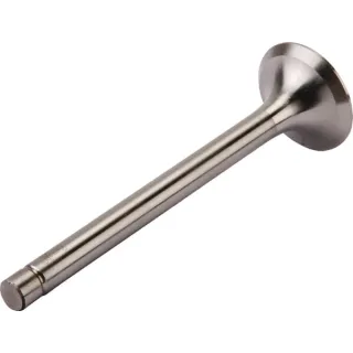 Exhaust valve   69010554 Zetor