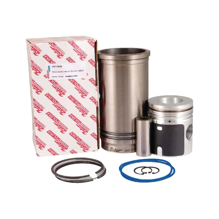 Repair kit  79110099 Zetor 270079110099