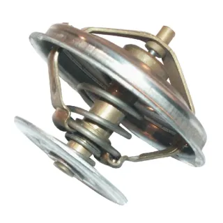 thermostat  89005904 Zetor