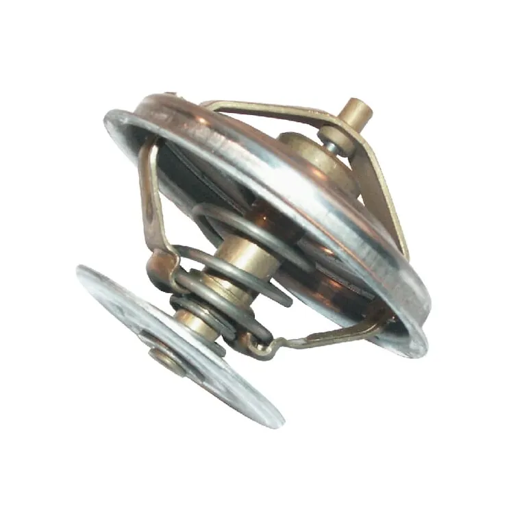 thermostat  89005904 Zetor