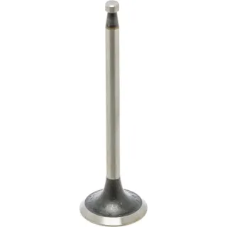 Inlet valve   950505 Zetor