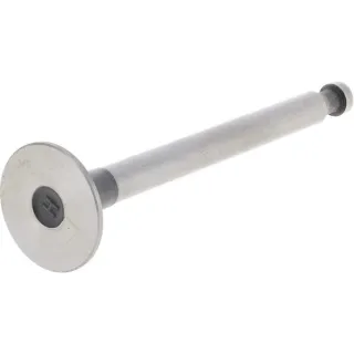 Exhaust valve  950506 Zetor