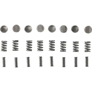 Agraset radial pin kit (standard springs)  AG106 Walterscheid VTE7930