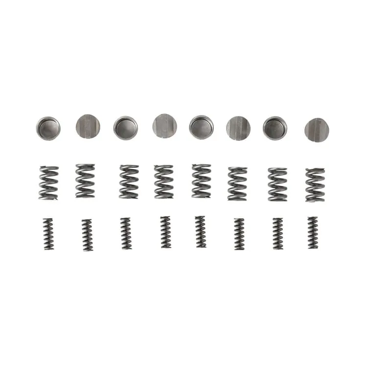 Agraset radial pin kit (standard springs)  AG106 Walterscheid VTE7930