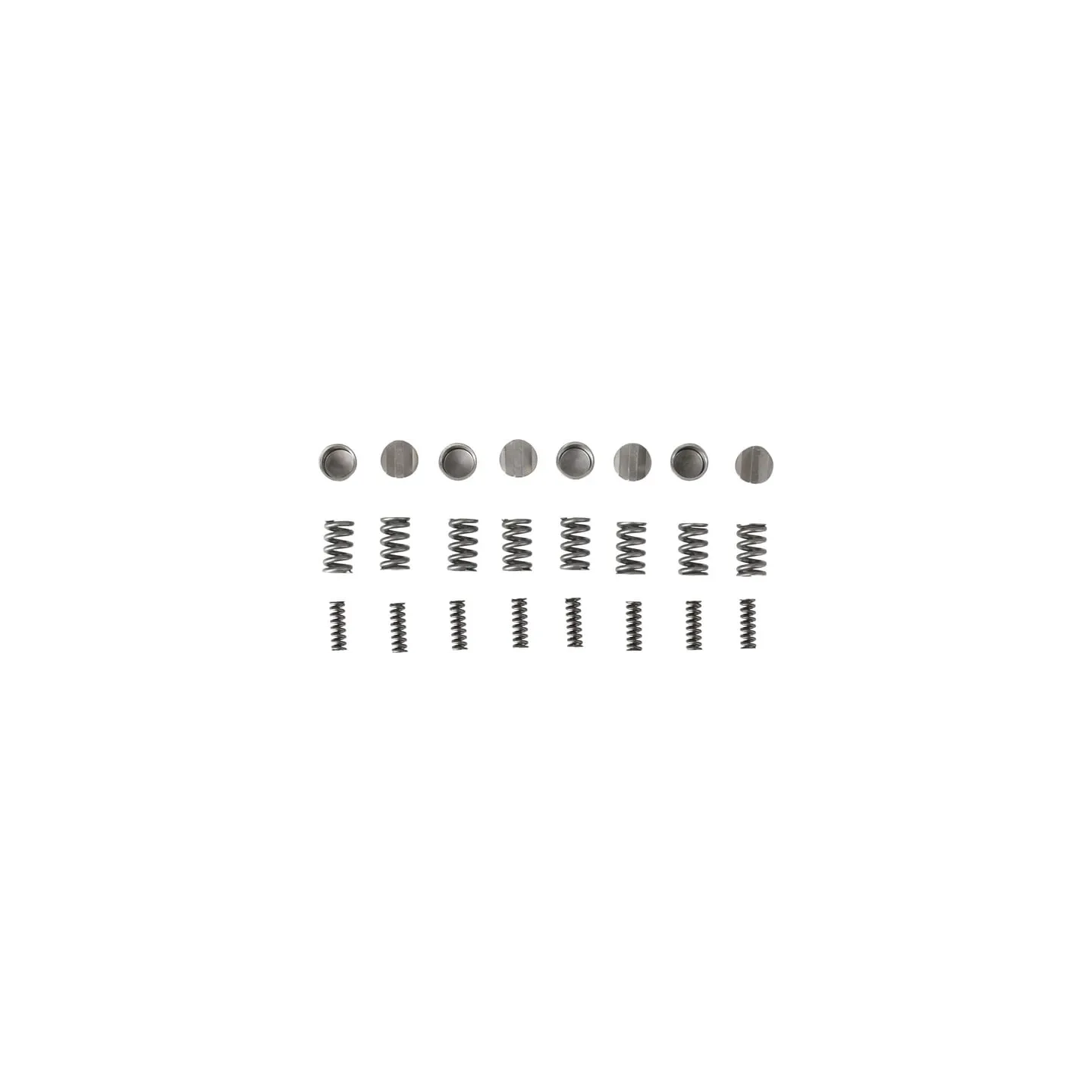 Agraset radial pin kit (standard springs)  AG106 Walterscheid VTE7930