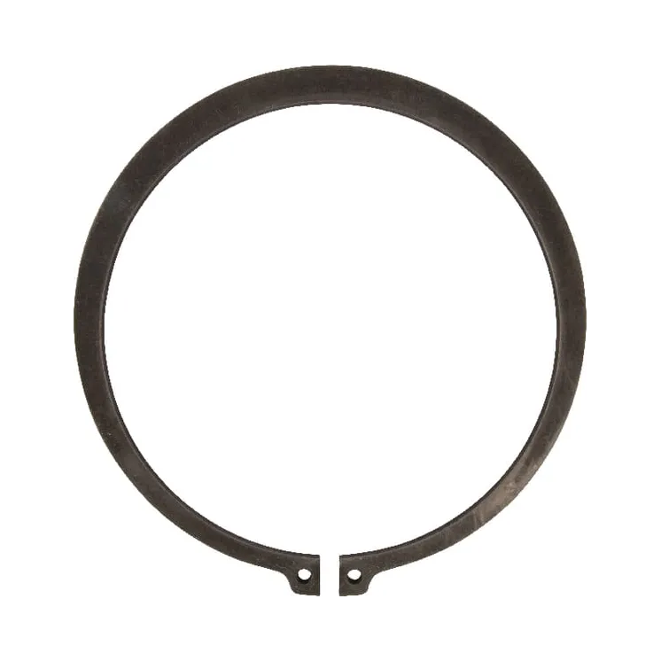 Ārējais gredzens 150x4 KG01114200 Vicon 16609006