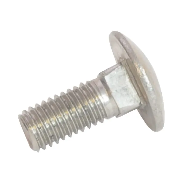 Round head screw M10x25 A2  KG00654400 Vicon
