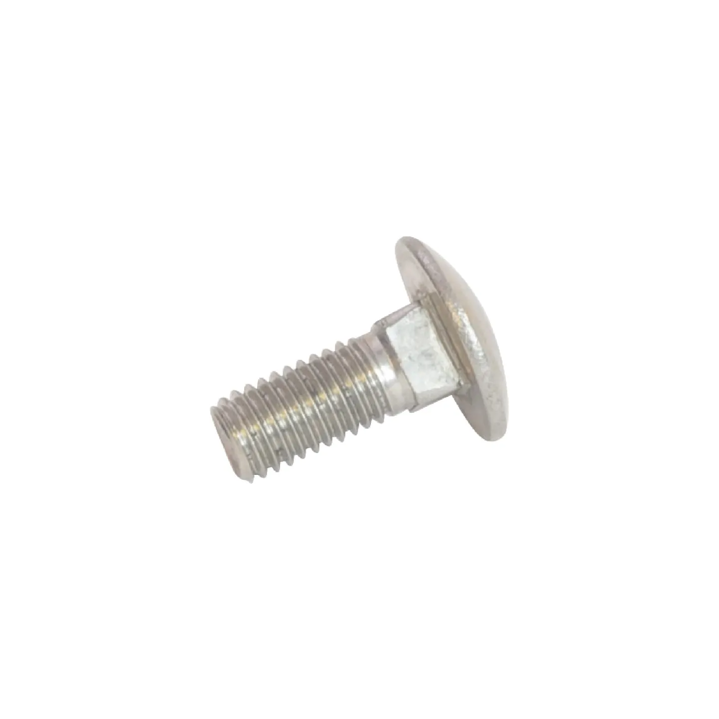 Round head screw M10x25 A2  KG00654400 Vicon