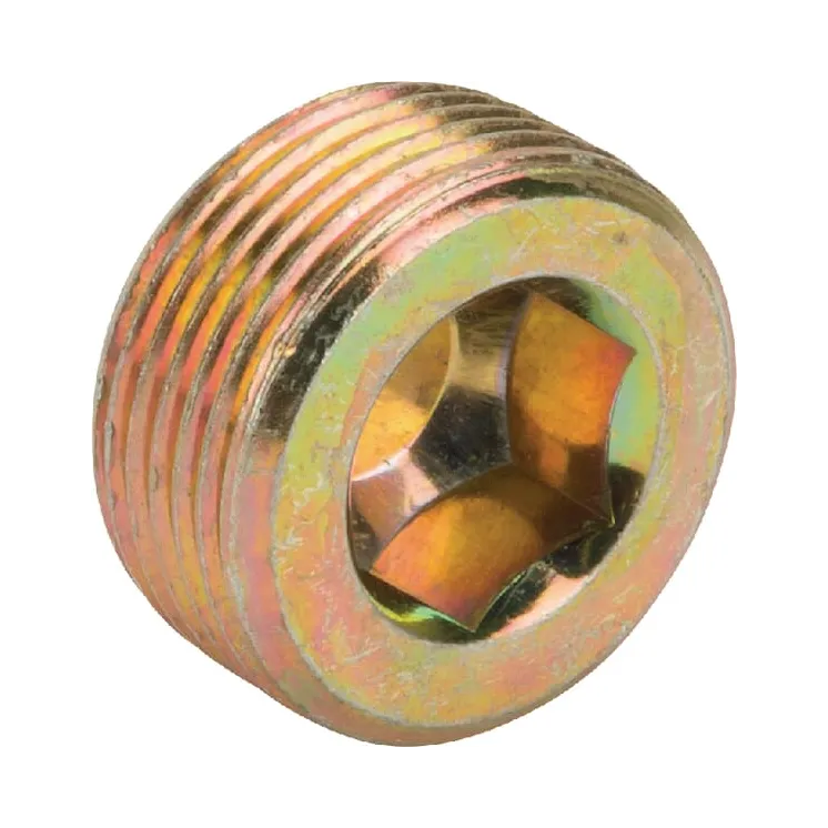 Plug M24x1,5  KG01032561 Vicon ND9262V