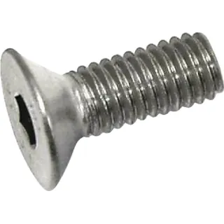 Skrūve M6x16 A2 KG00870000 Vicon