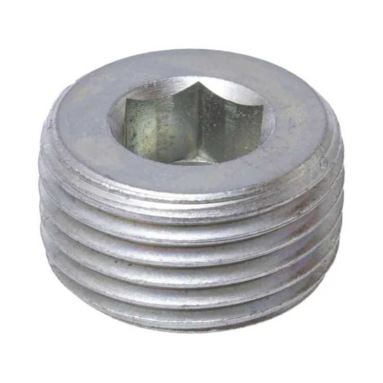 Plug M18x1,5  KG01032261 Vicon