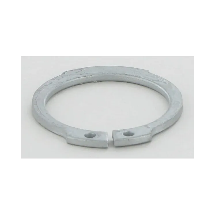 Circlip external 30x2  KG01099062 Vicon