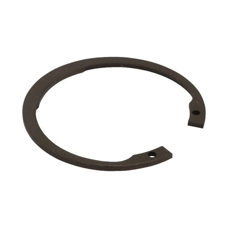 Circlip 55 x 2  KG01129300 Vicon