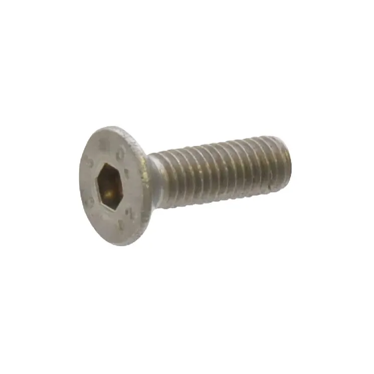 Screw Stainless Steel M6x20  KG00870200 Vicon