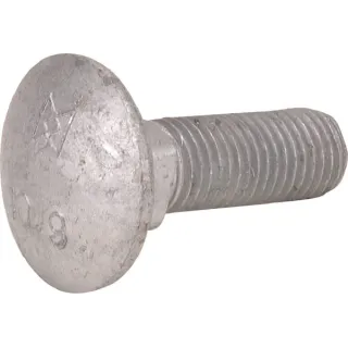 Kg00641461 carriage bolt m10x2  KG00641461 Vicon