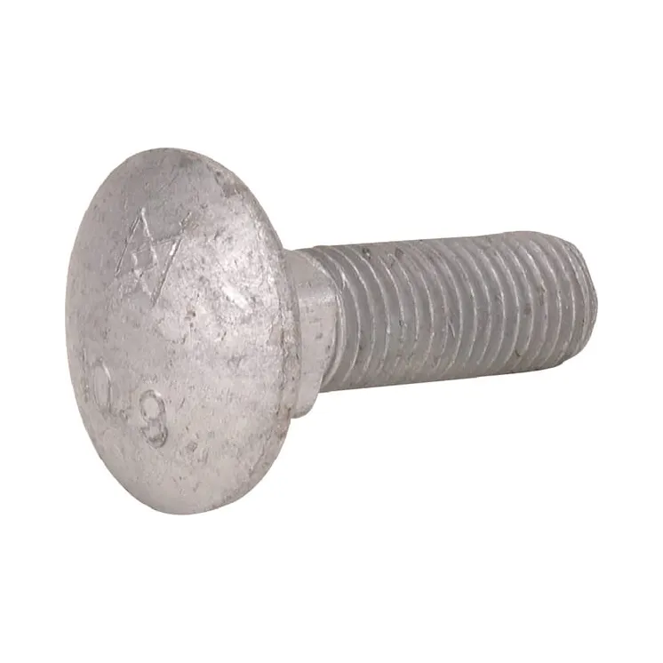 Kg00641461 carriage bolt m10x2  KG00641461 Vicon