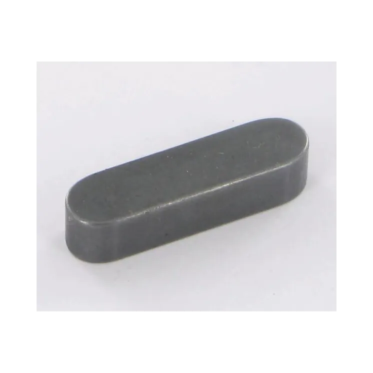 COGEAI KEY KG01306800 Vicon