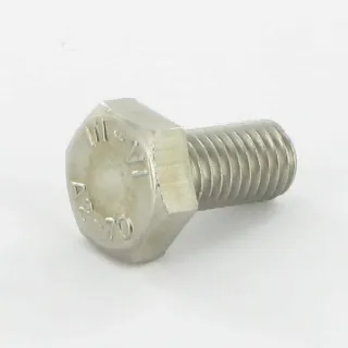 Bolt M10x20 Stainless Steel A2  KG00498600 Vicon