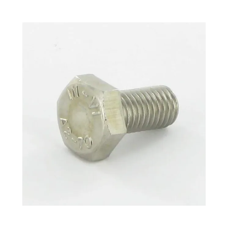 Bolt M10x20 Stainless Steel A2  KG00498600 Vicon