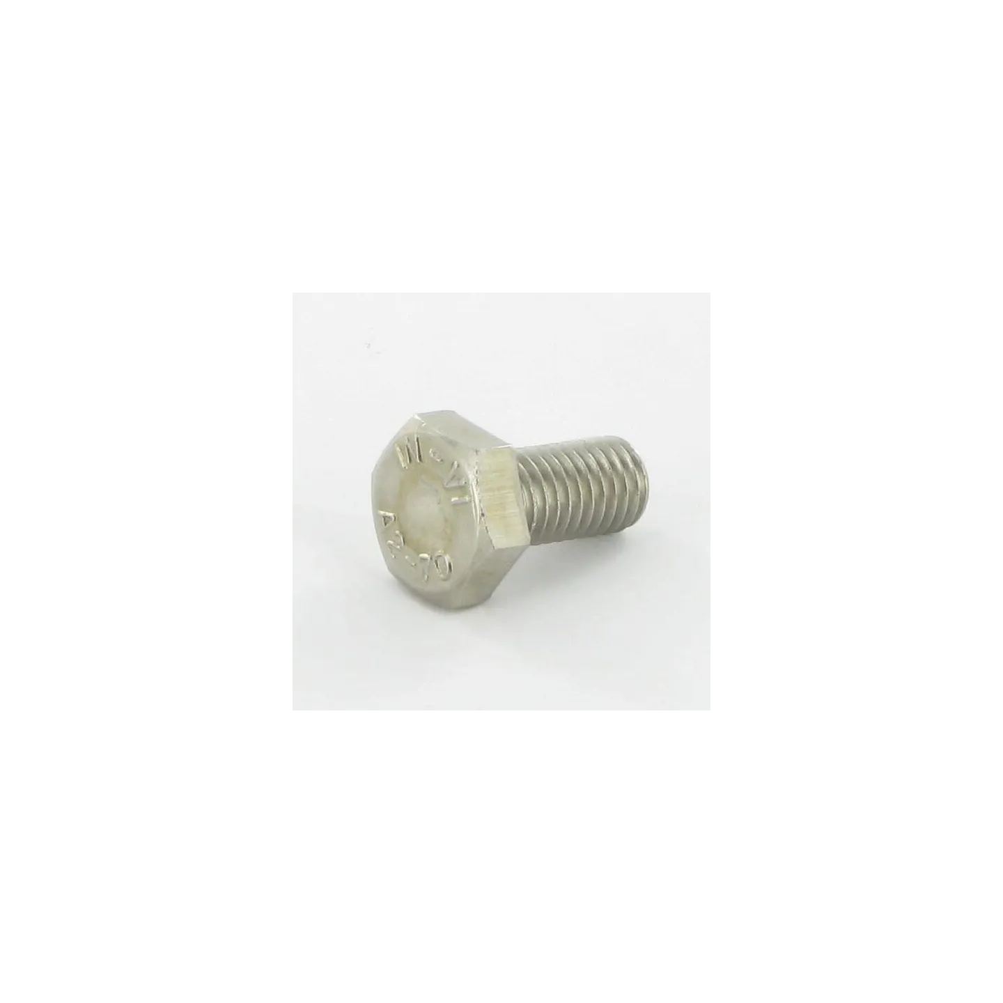 Bolt M10x20 Stainless Steel A2  KG00498600 Vicon